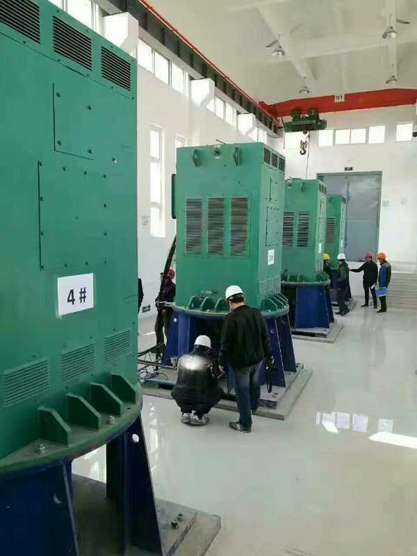 来宾某污水处理厂使用我厂的立式高压电机安装现场